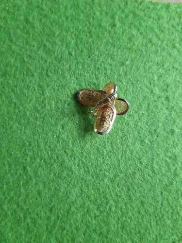 Brosche schmetterling - brosche,